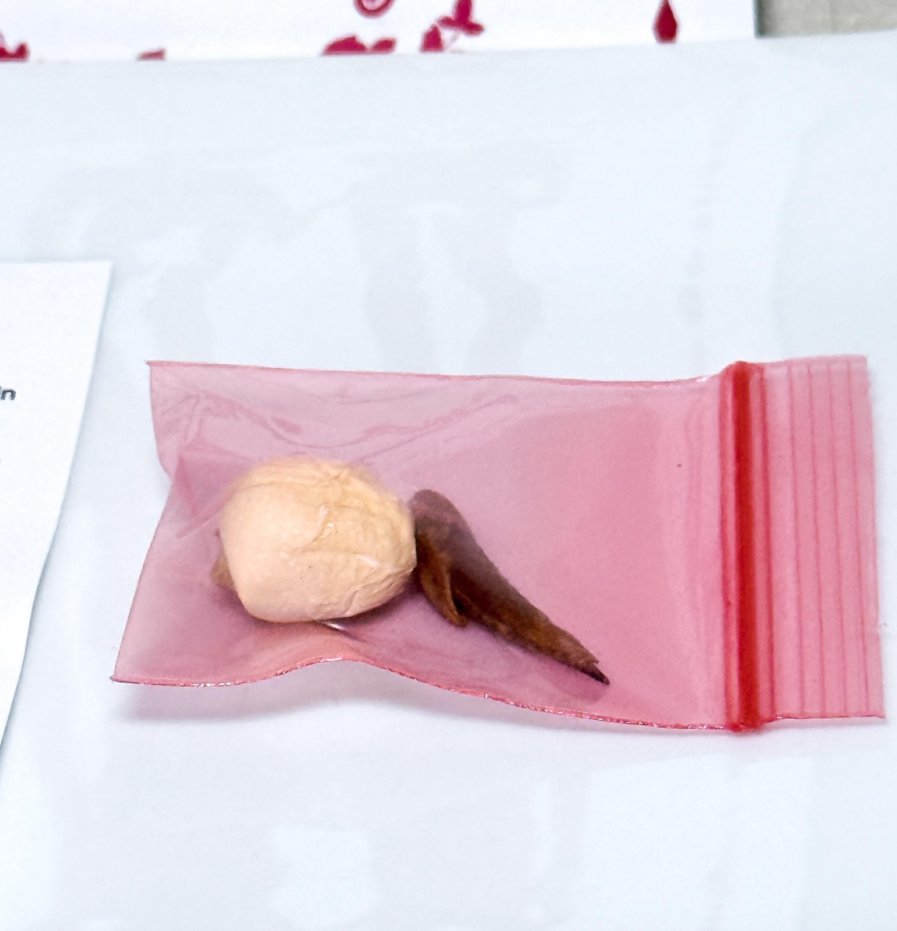 Adam & Eve Root Pair
